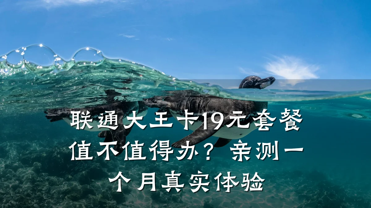联通大王卡19元套餐值不值得办？亲测一个月真实体验