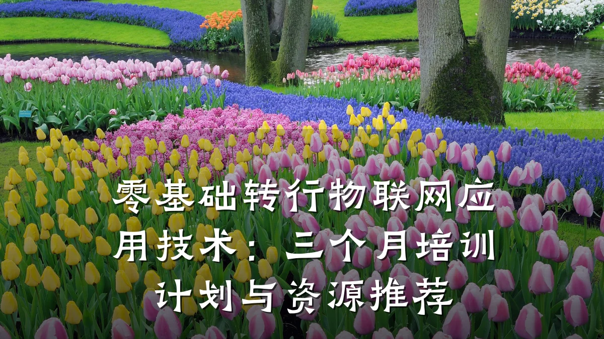 零基础转行物联网应用技术：三个月培训计划与资源推荐