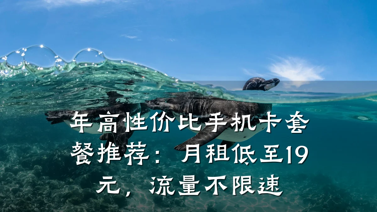 年高性价比手机卡套餐推荐:月租低至19元,流量不限速