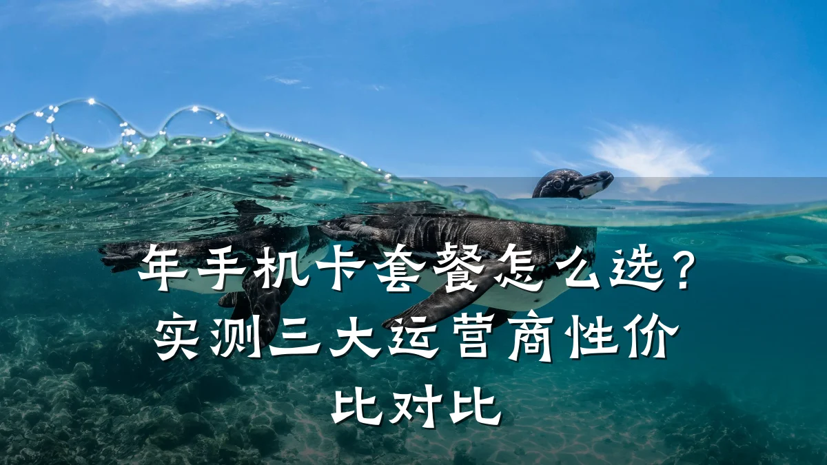 年手机卡套餐怎么选？实测三大运营商性价比对比