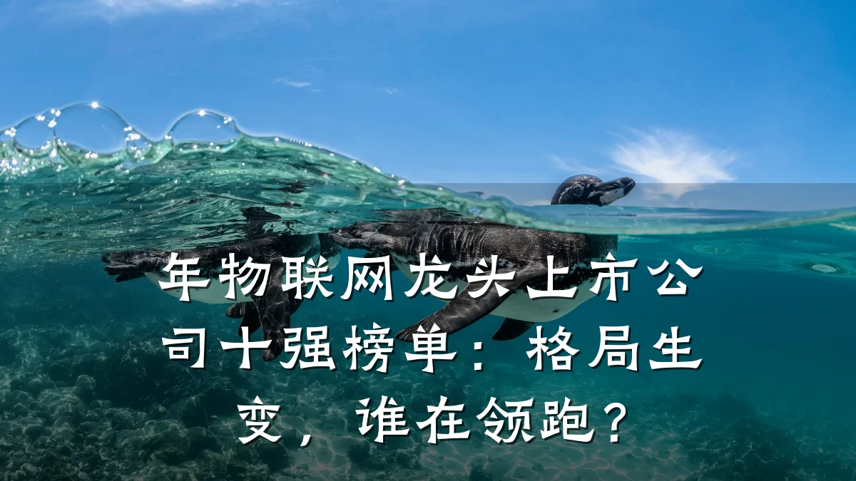 年物联网龙头上市公司十强榜单：格局生变，谁在领跑？
