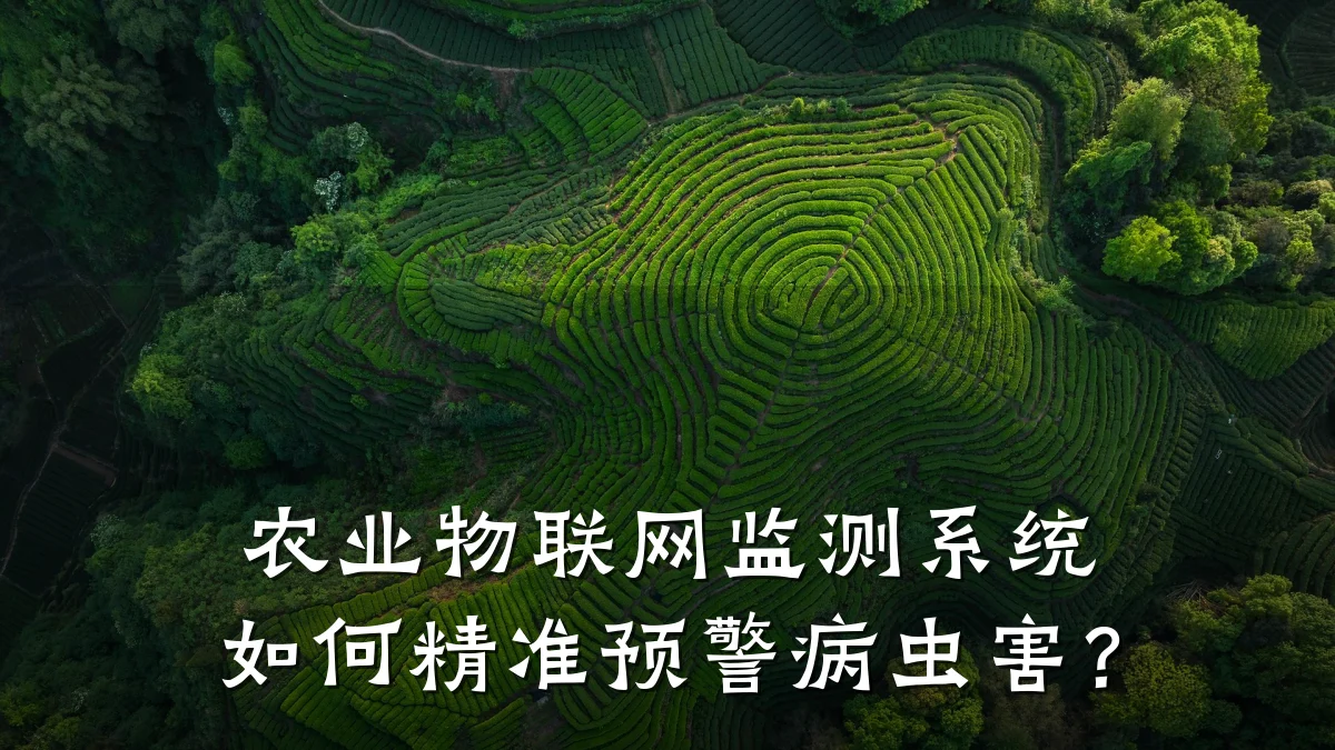 农业物联网监测系统如何精准预警病虫害？