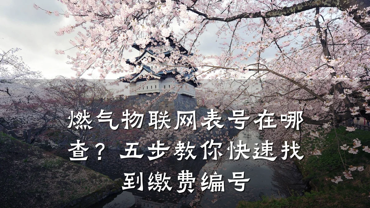 燃气物联网表号在哪查？五步教你快速找到缴费编号