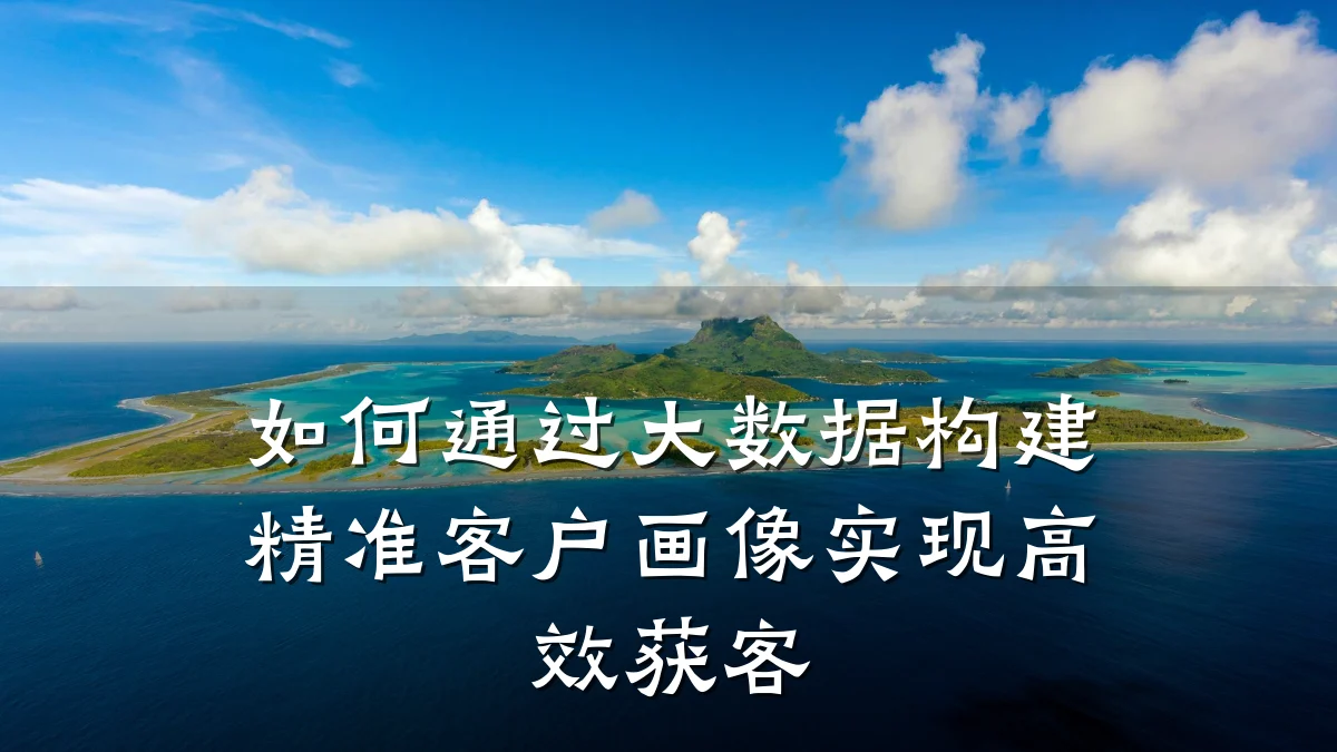如何通过大数据构建精准客户画像实现高效获客