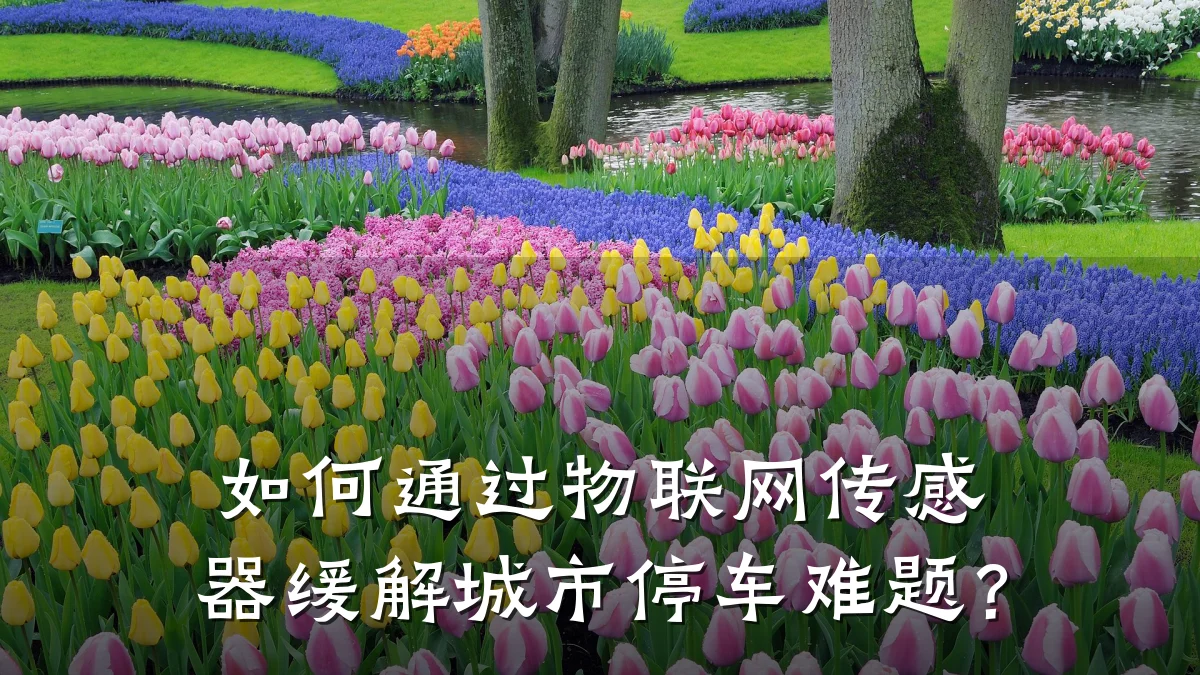 如何通过物联网传感器缓解城市停车难题？