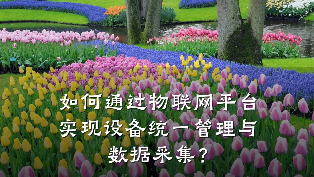 如何通过物联网平台实现设备统一管理与数据采集？