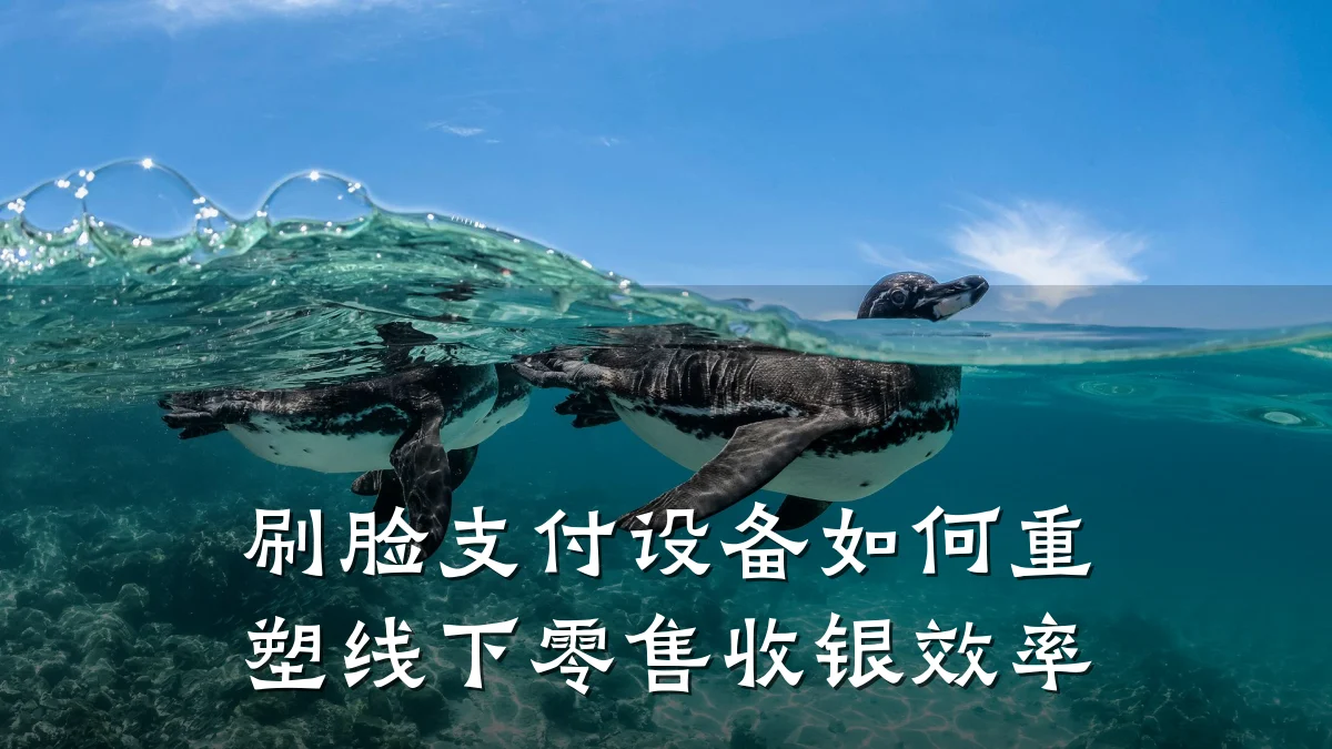 刷脸支付设备如何重塑线下零售收银效率