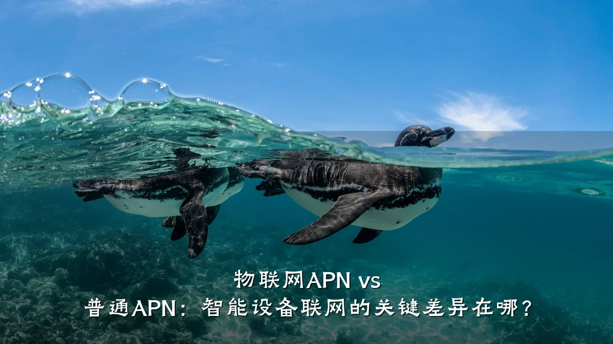 物联网APN vs 普通APN：智能设备联网的关键差异在哪？