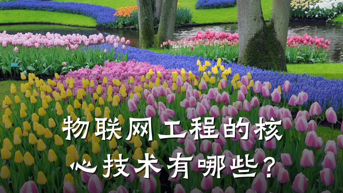 物联网工程的核心技术有哪些？