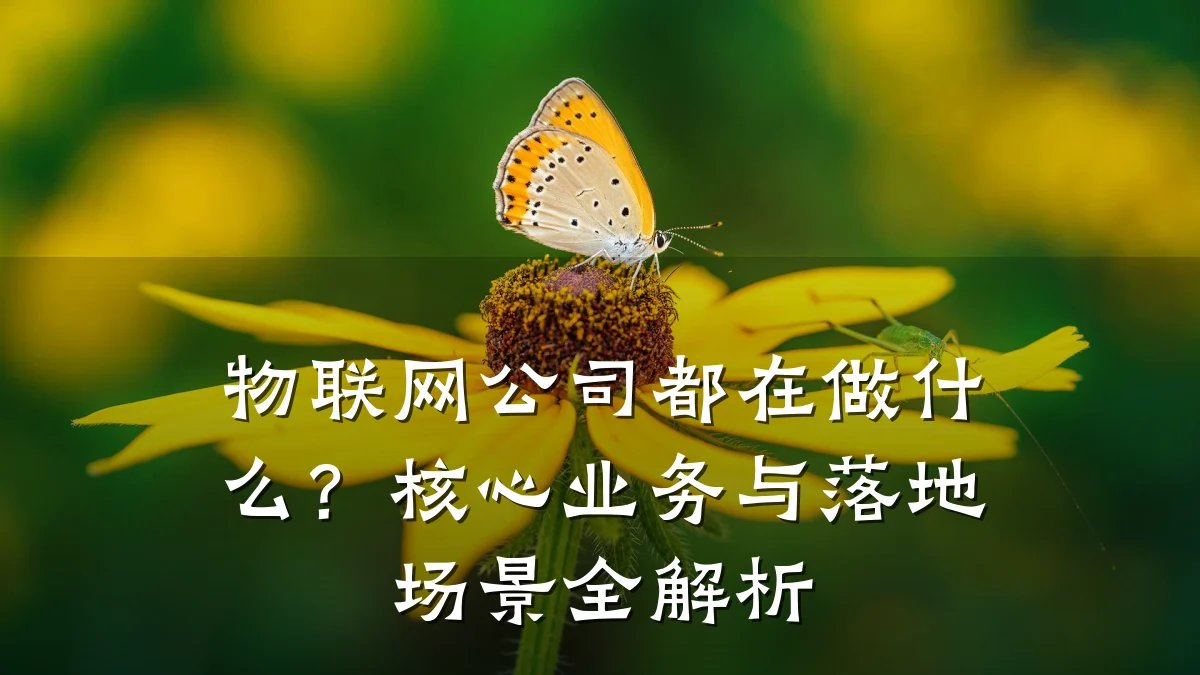 物联网公司都在做什么？核心业务与落地场景全解析