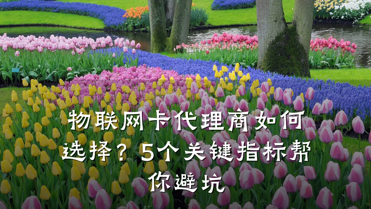物联网卡代理商如何选择？5个关键指标帮你避坑