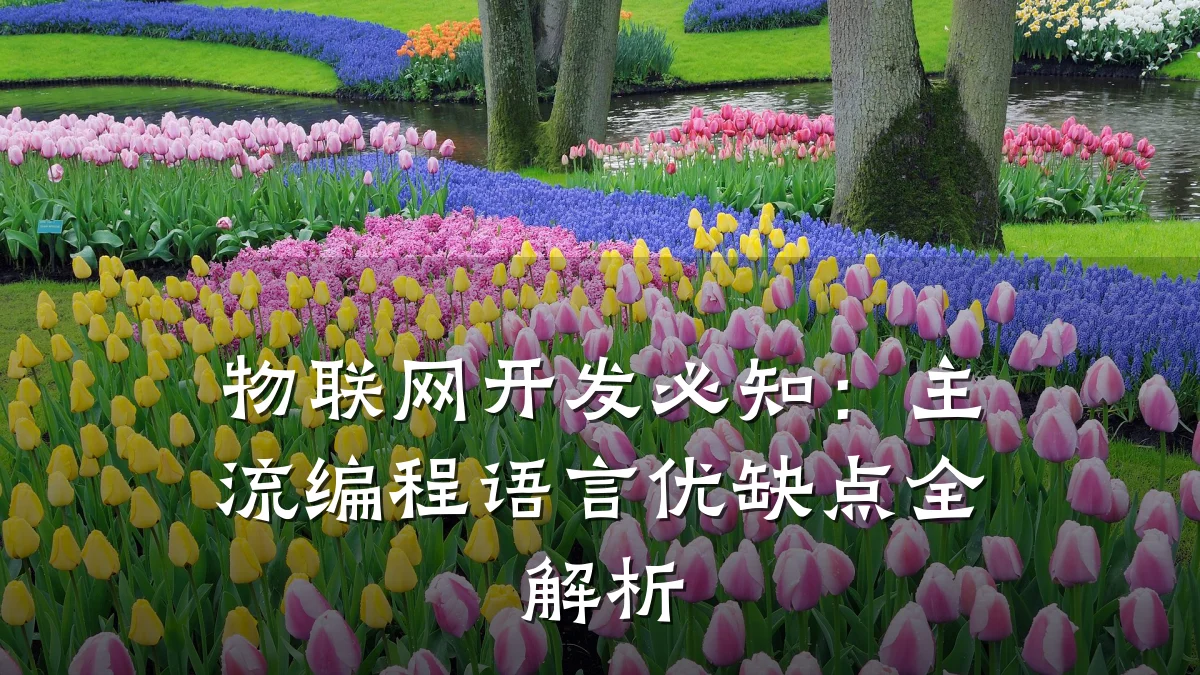 物联网开发必知：主流编程语言优缺点全解析