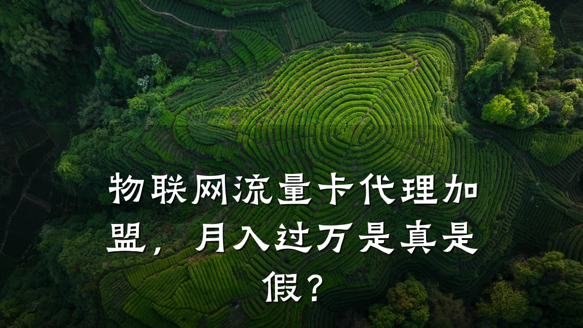 物联网流量卡代理加盟，月入过万是真是假？