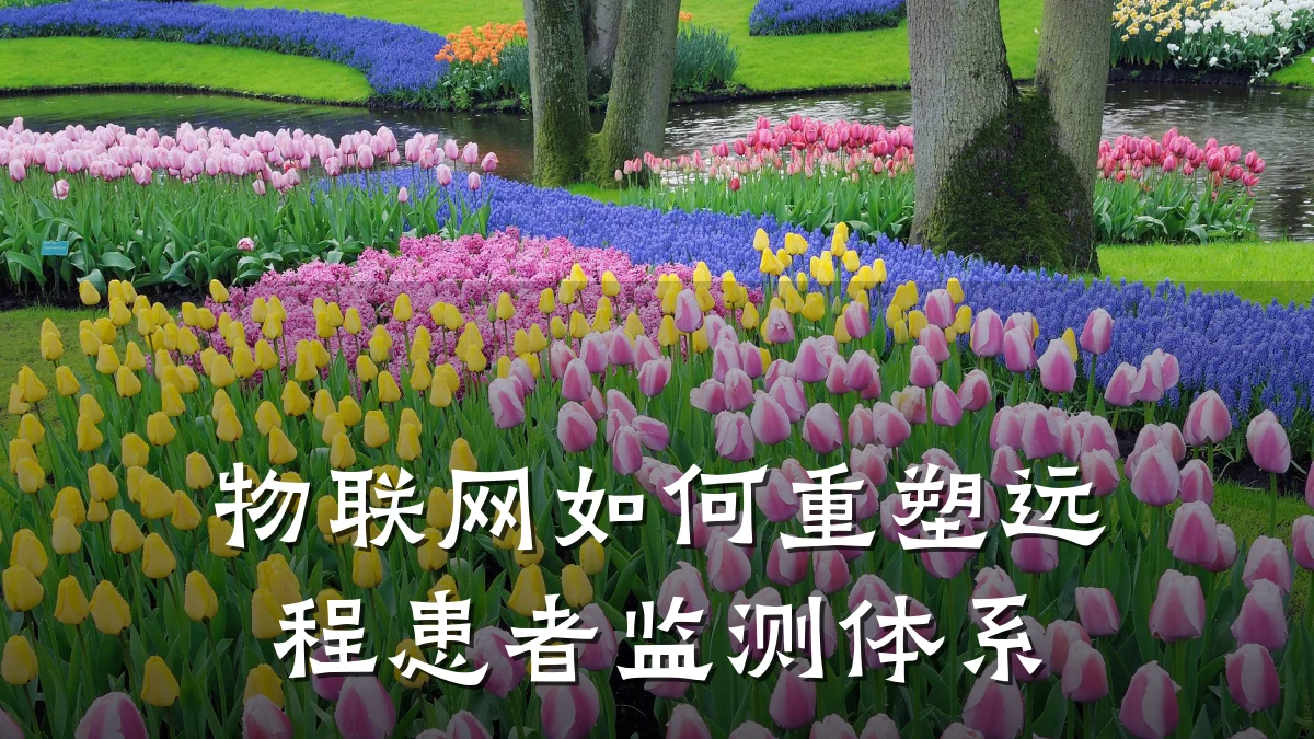 物联网如何重塑远程患者监测体系