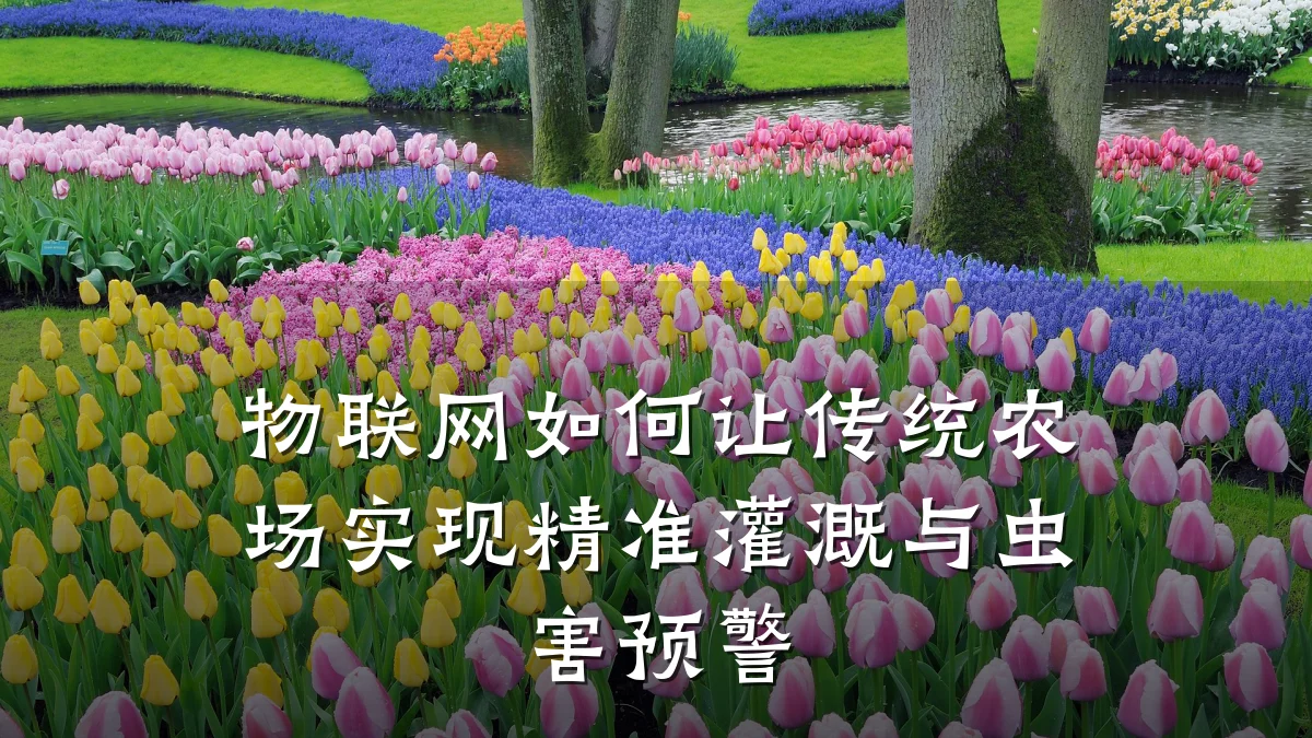 物联网如何让传统农场实现精准灌溉与虫害预警