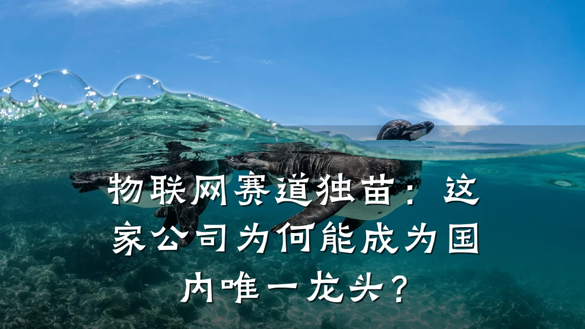 物联网赛道独苗：这家公司为何能成为国内唯一龙头？