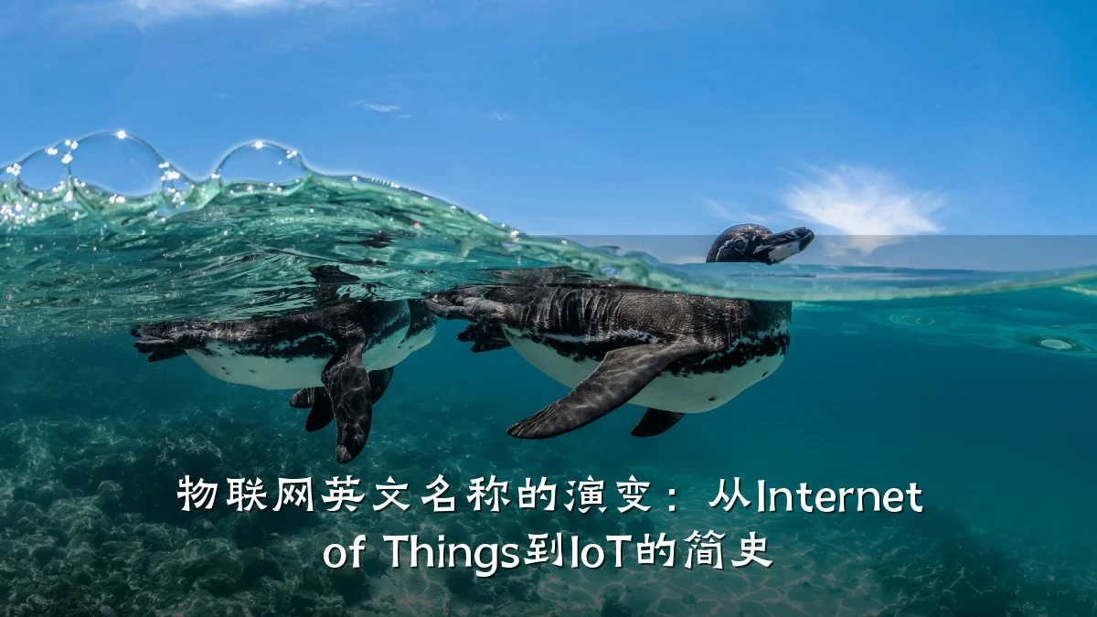 物联网英文名称的演变：从Internet of Things到IoT的简史
