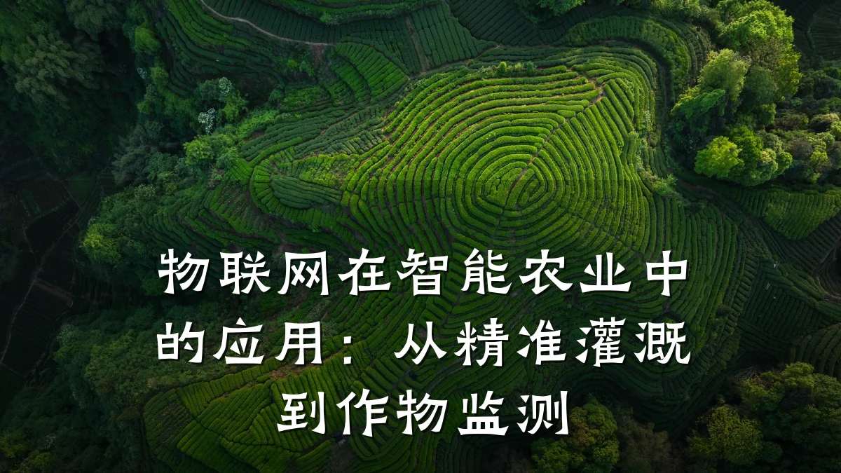 物联网在智能农业中的应用：从精准灌溉到作物监测
