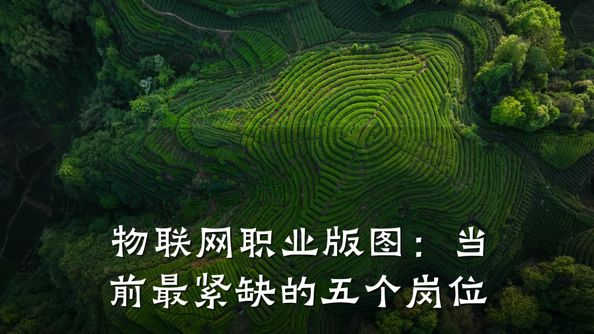 物联网职业版图：当前最紧缺的五个岗位