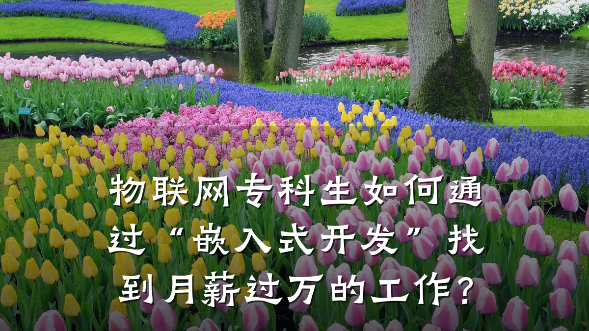 物联网专科生如何通过“嵌入式开发”找到月薪过万的工作？