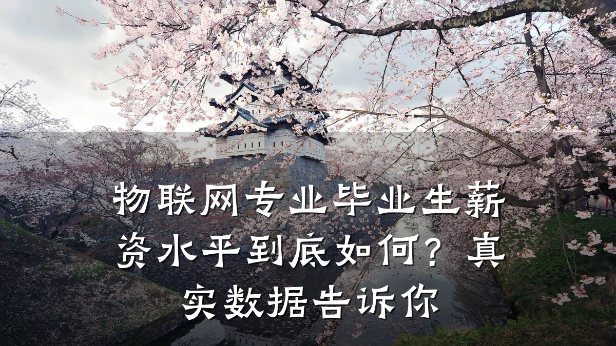 物联网专业毕业生薪资水平到底如何？真实数据告诉你