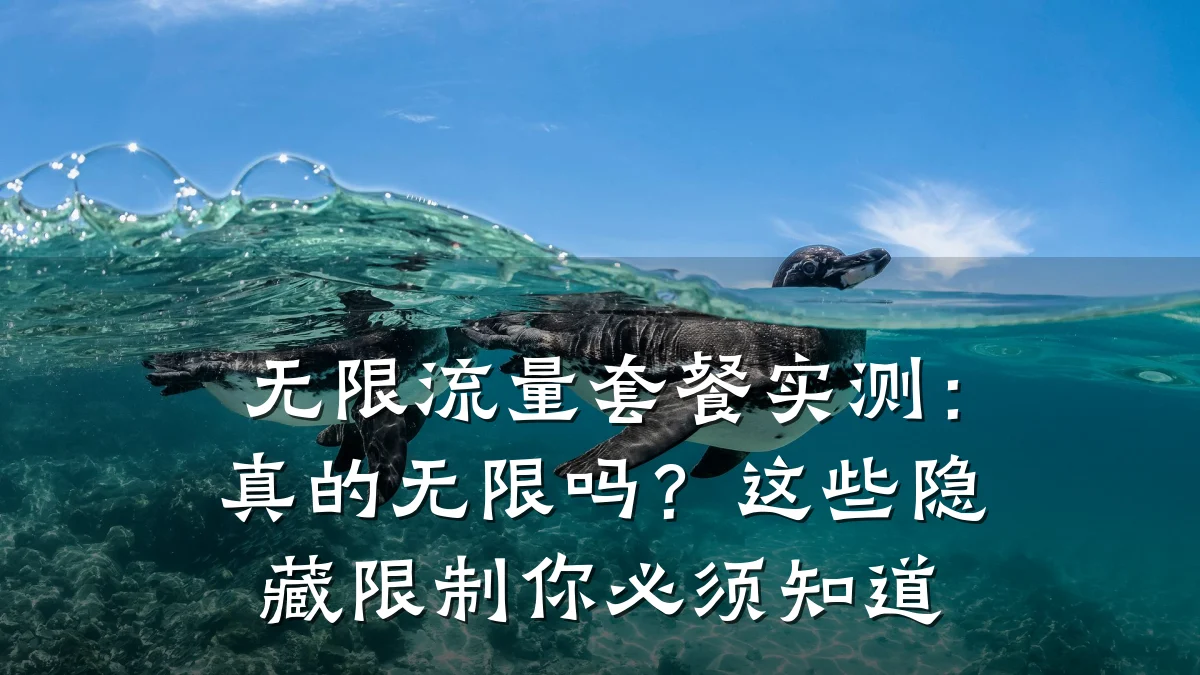 无限流量套餐实测：真的无限吗？这些隐藏限制你必须知道