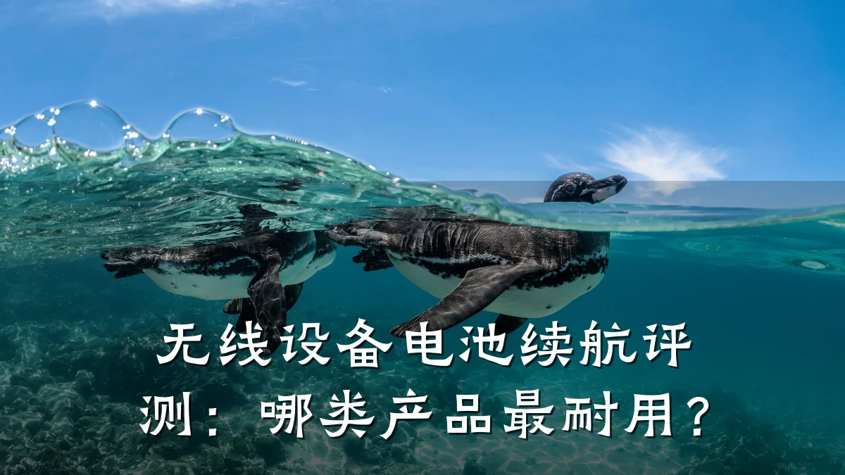 无线设备电池续航评测：哪类产品最耐用？