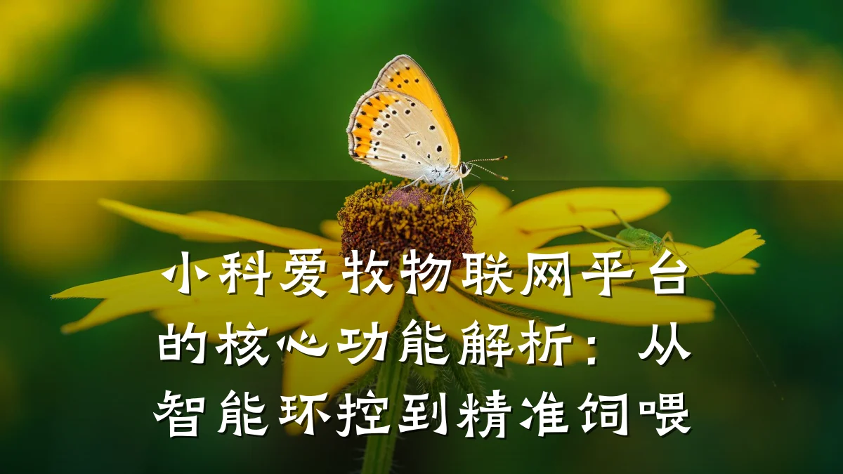 小科爱牧物联网平台的核心功能解析：从智能环控到精准饲喂
