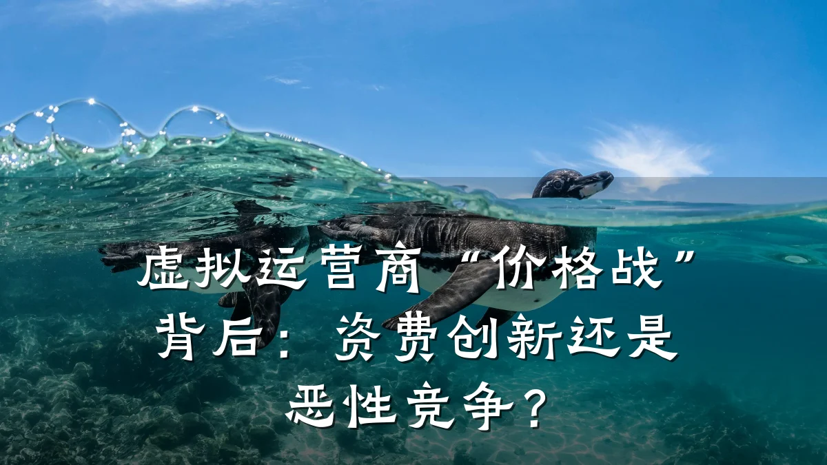 虚拟运营商“价格战”背后：资费创新还是恶性竞争？