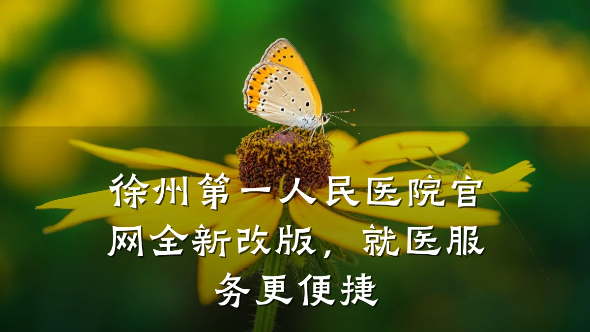 徐州第一人民医院官网全新改版，就医服务更便捷