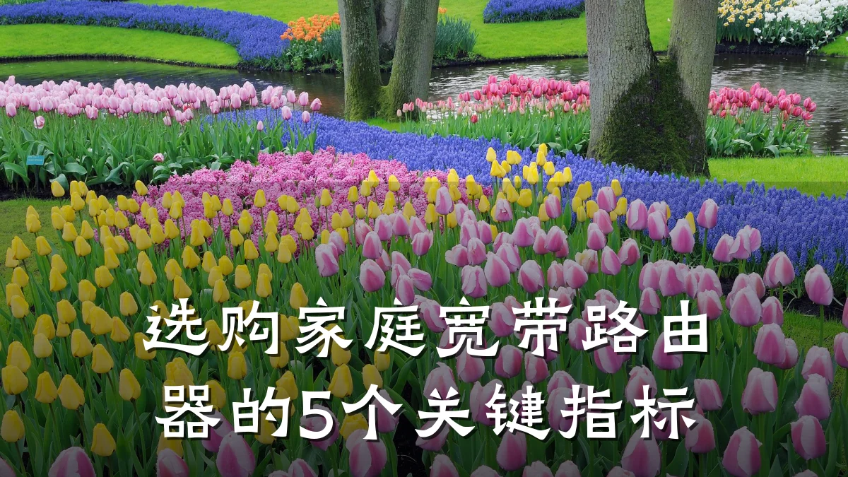 选购家庭宽带路由器的5个关键指标
