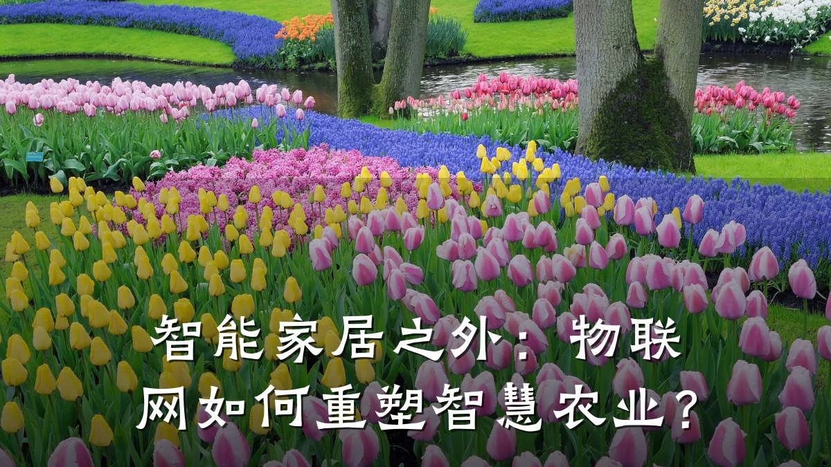 智能家居之外：物联网如何重塑智慧农业？