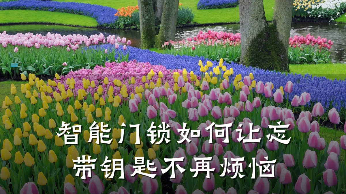 智能门锁如何让忘带钥匙不再烦恼