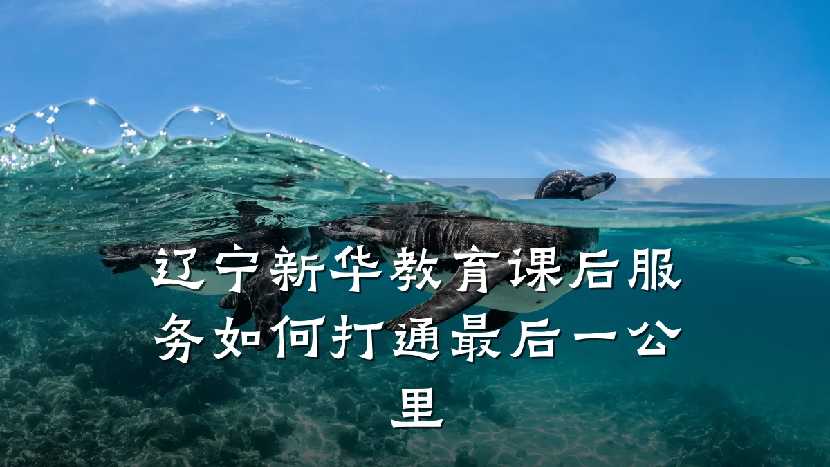 辽宁新华教育课后服务如何打通最后一公里