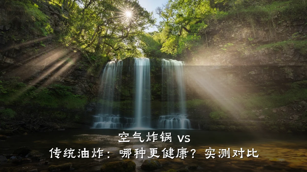 空气炸锅 vs 传统油炸:哪种更健康?实测对比