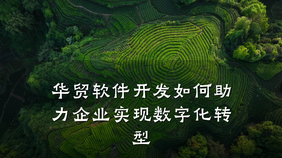 华贸软件开发如何助力企业实现数字化转型