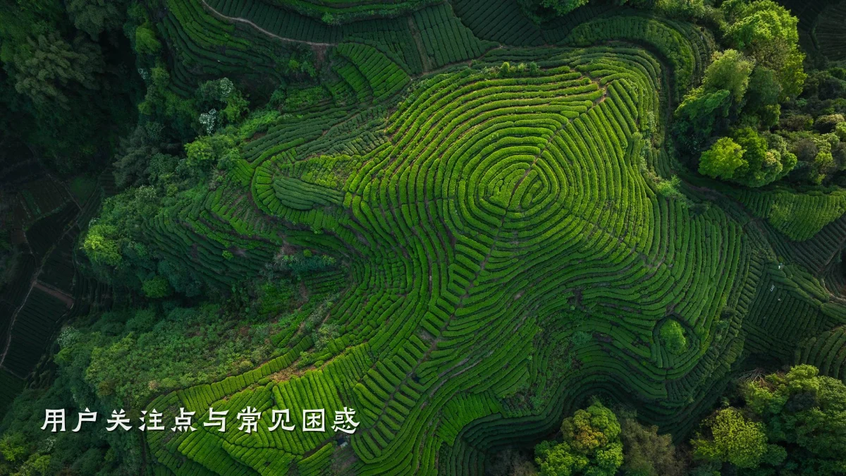 用户关注点与常见困惑