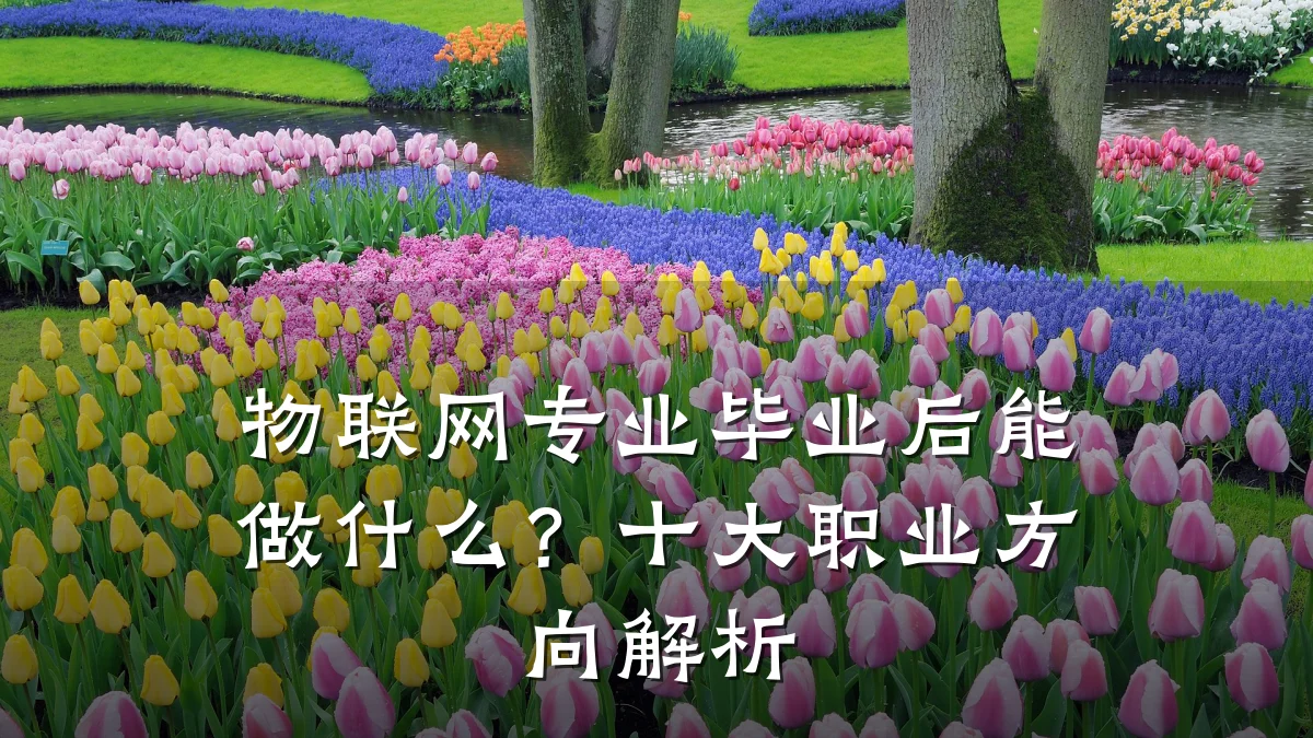 物联网专业毕业后能做什么?十大职业方向解析