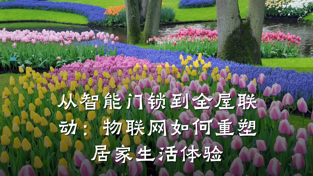 从智能门锁到全屋联动:物联网如何重塑居家生活体验