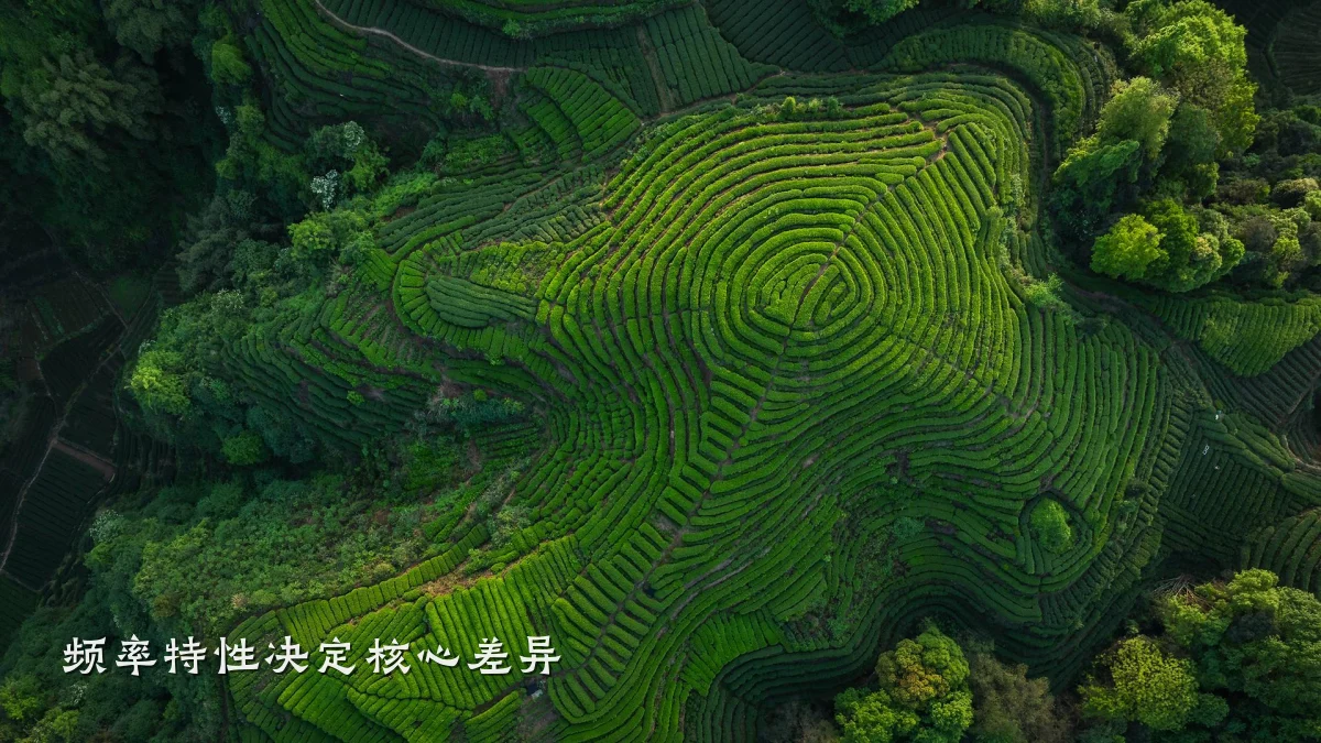 频率特性决定核心差异