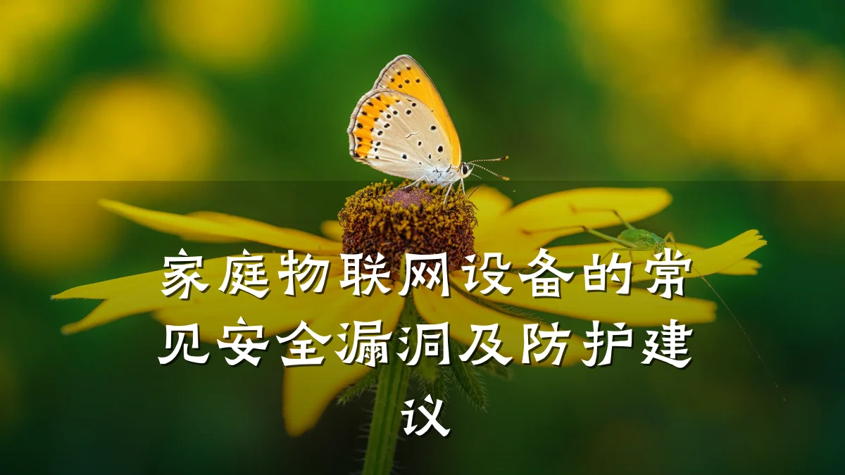 家庭物联网设备的常见安全漏洞及防护建议