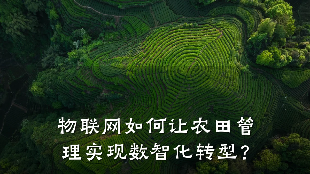 物联网如何让农田管理实现数智化转型?