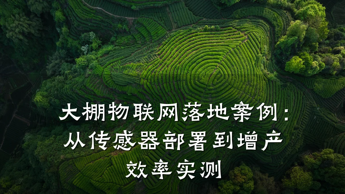 大棚物联网落地案例：从传感器部署到增产效率实测