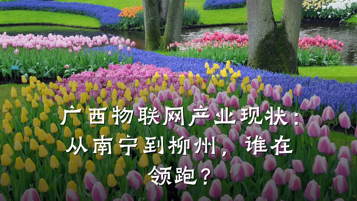 广西物联网产业现状:从南宁到柳州,谁在领跑?
