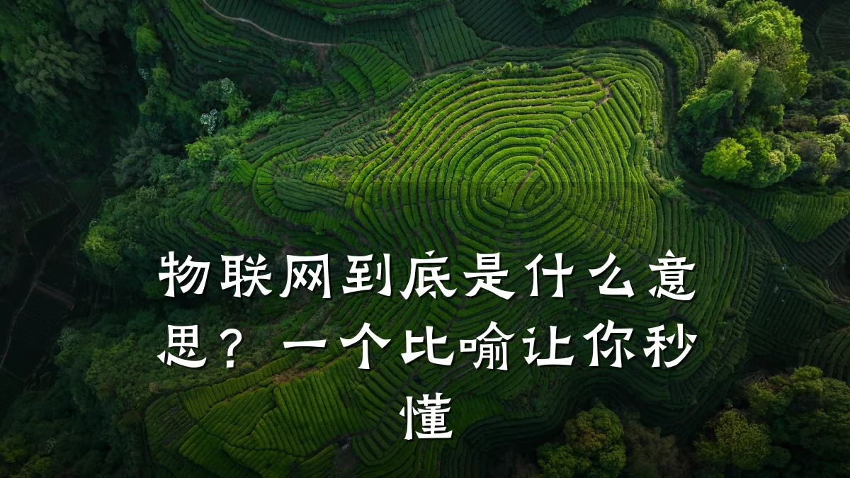 物联网到底是什么意思?一个比喻让你秒懂
