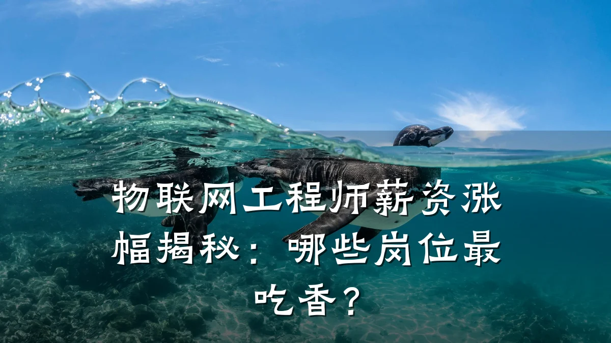 物联网工程师薪资涨幅揭秘:哪些岗位最吃香?