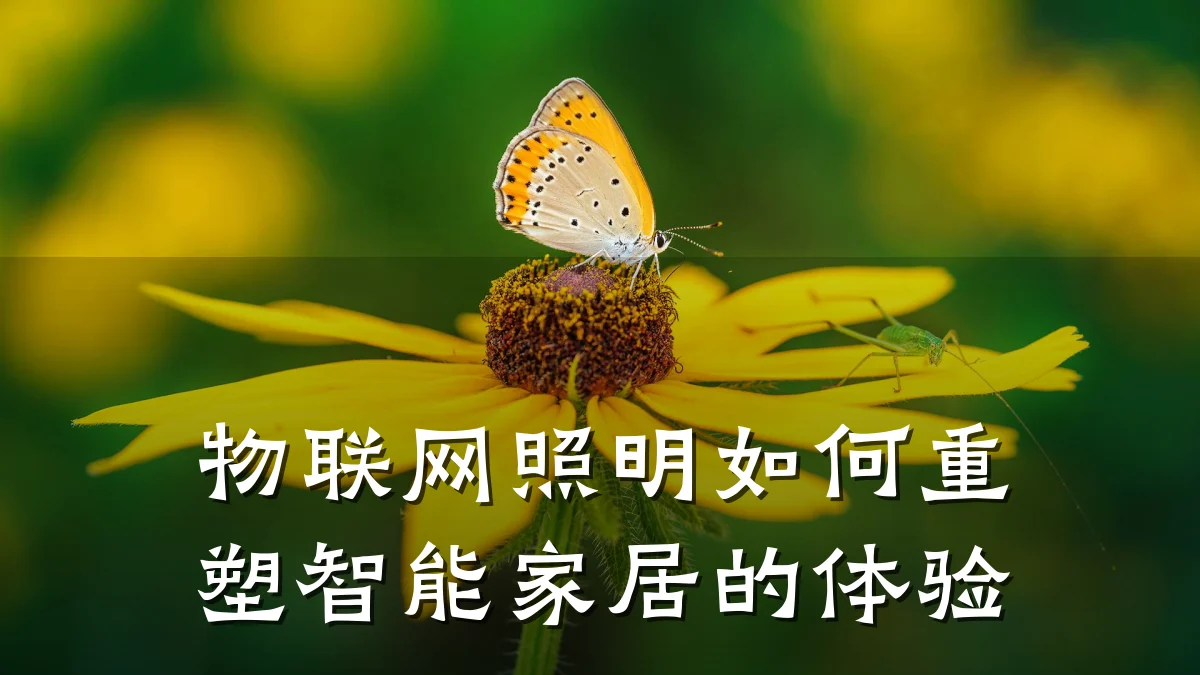 物联网照明如何重塑智能家居的体验