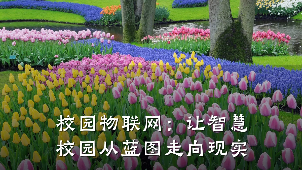 校园物联网:让智慧校园从蓝图走向现实