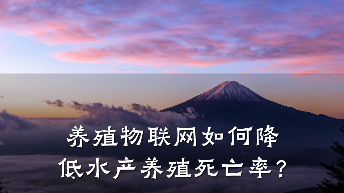 养殖物联网如何降低水产养殖死亡率?