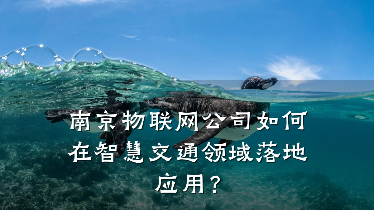 南京物联网公司如何在智慧交通领域落地应用?